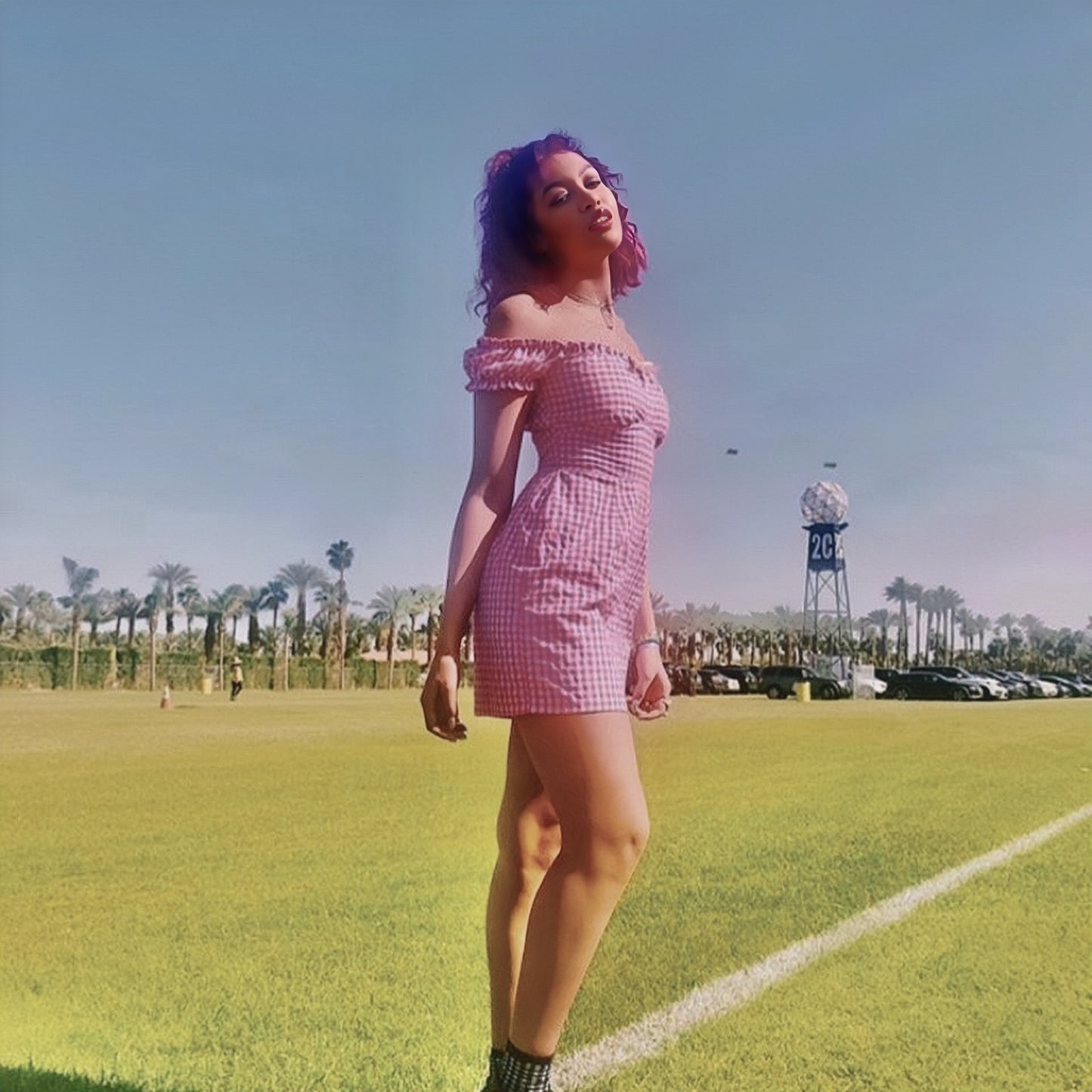 The Alex Dress in Pink Gingham