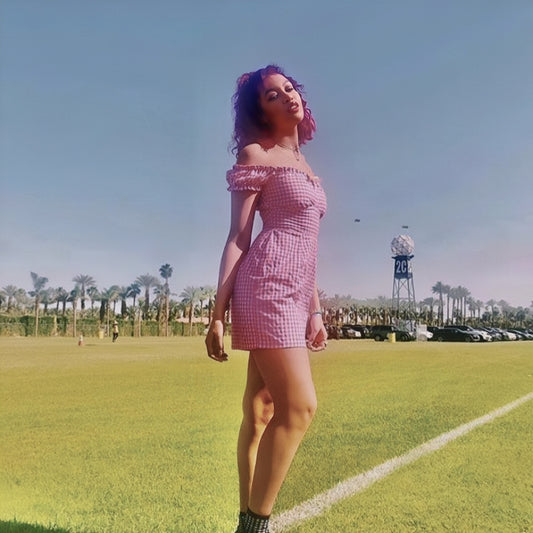 The Alex Dress in Pink Gingham