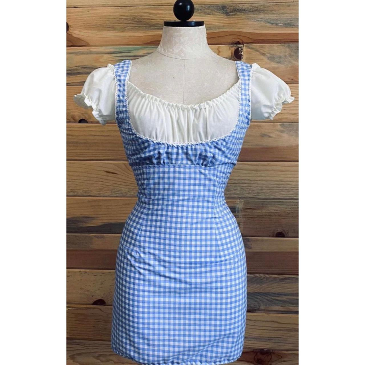 Vintage blue clearance gingham dress