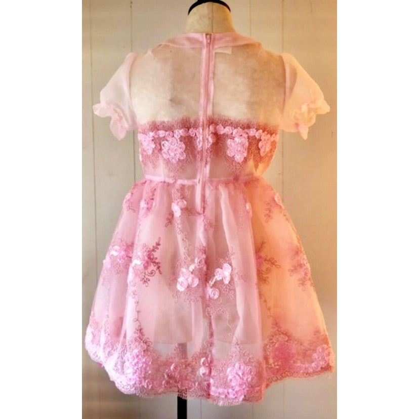 The Taffy Dress in Pink Organza